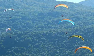 Du khách rơi xuống rừng Sơn Trà khi bay dù lượn